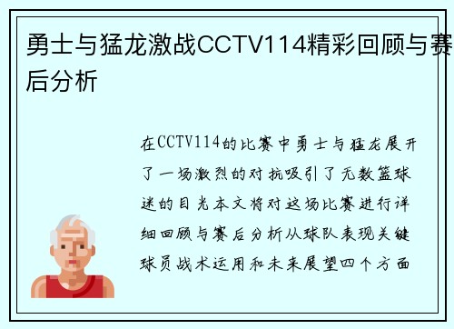 勇士与猛龙激战CCTV114精彩回顾与赛后分析